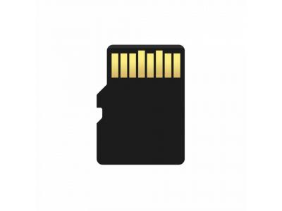 Acer MSC300 MicroSD Card UHS-I – Thẻ Nhớ 160MB/s, Hỗ Trợ 4K & A2 (32-256GB)